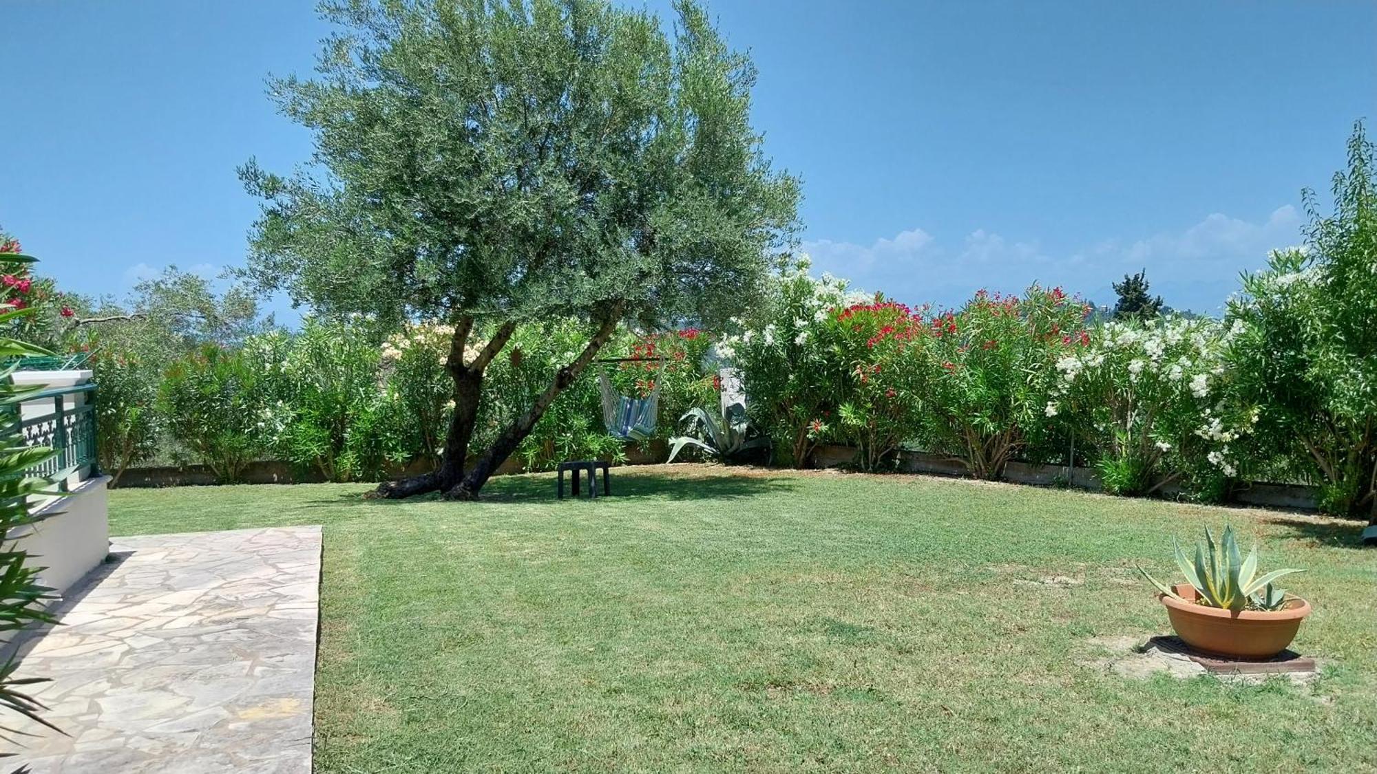 Villa Gecko, Arillas Kavvadades Exterior photo